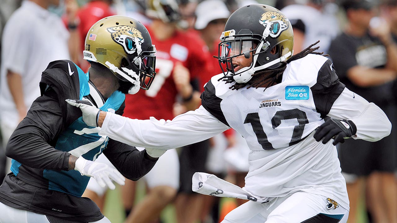 Receiver Mike Brown joins long list of injured Jaguars players